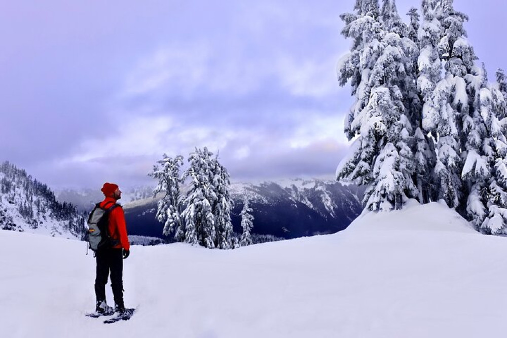 Self-Guided Driving Audio Tour of Mount Rainier National Park