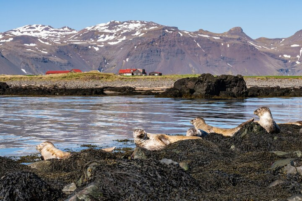 Self-Guided Audio Driving Tour of the Snæfellsnes Peninsula