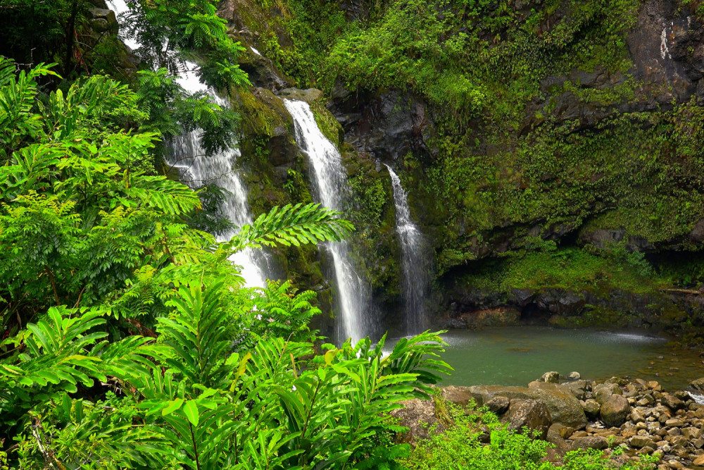 Audio-Guided Driving Tour of Maui Island