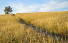 GuideAlong (GyPSy Guide)6