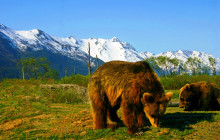 GuideAlong (GyPSy Guide)3