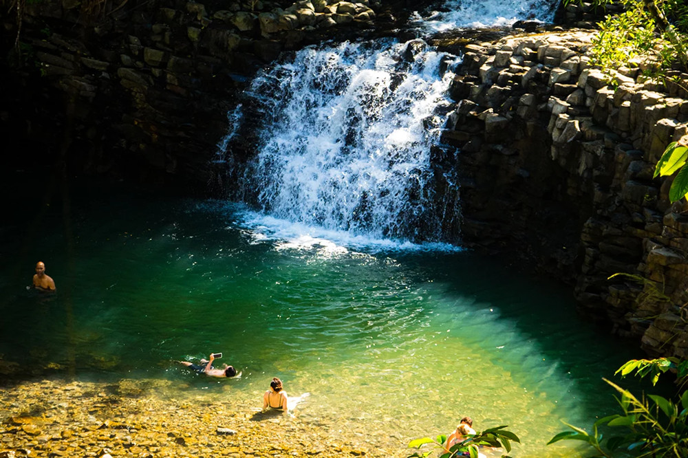 Waterfall & Rainforest Hiking Adventure - Private Group