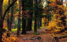 GuideAlong (GyPSy Guide)9