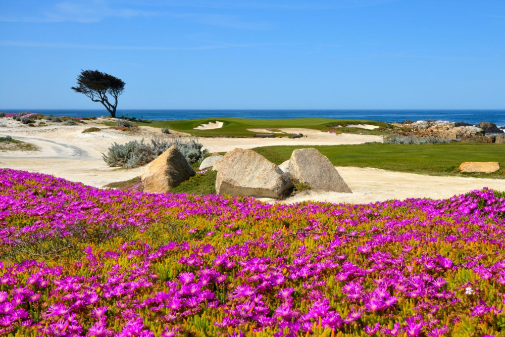 Self-Guided Audio Driving Tour of 17-Mile Drive