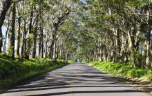 GuideAlong (GyPSy Guide)16