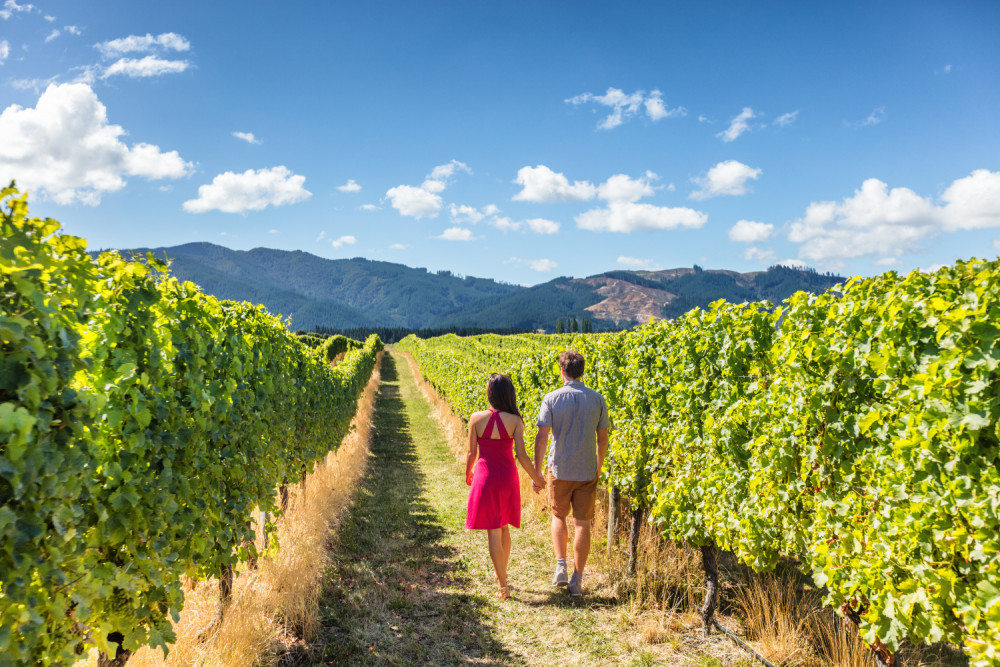 Self-Guided Driving Audio Tour of Sonoma and Napa Valley