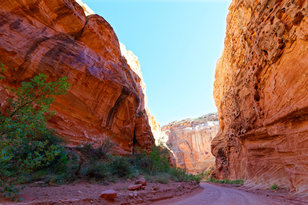Audio-Guided Driving Tour of Capitol Reef National Park