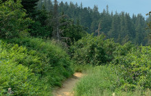 GuideAlong (GyPSy Guide)11