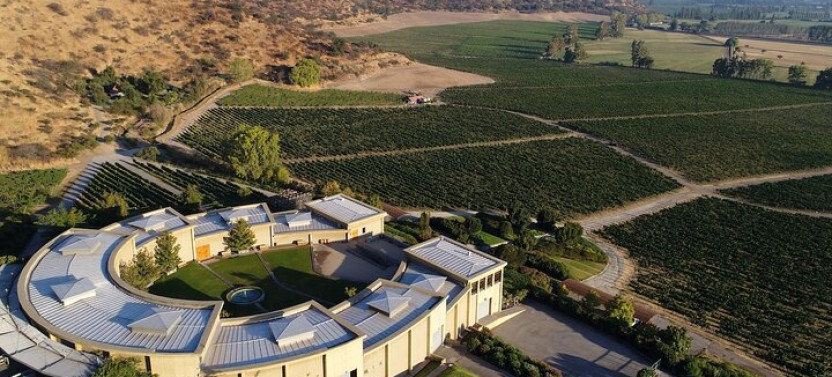 Haras De Pirque Private Vineyard Tour And Wine Tastings