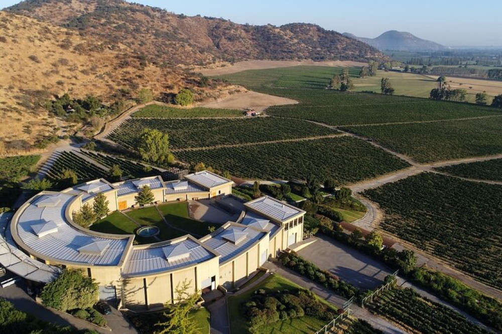 Haras De Pirque Private Vineyard Tour And Wine Tastings