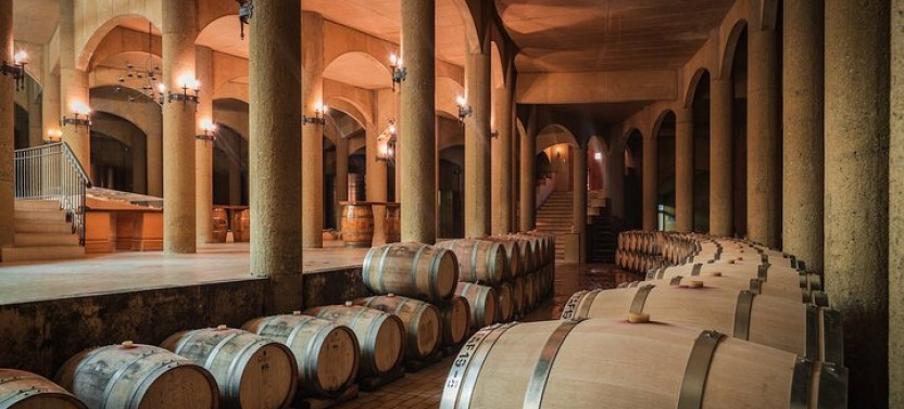 Haras De Pirque Private Vineyard Tour And Wine Tastings