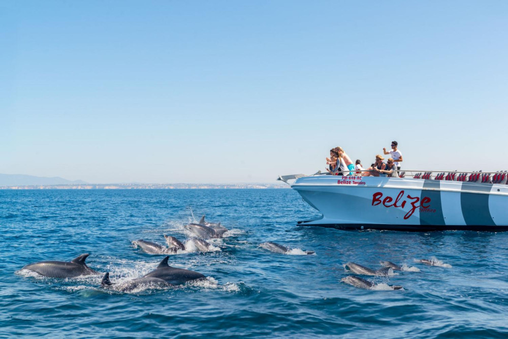 Lagos: Dolphins & Benagil Caves – Catamaran