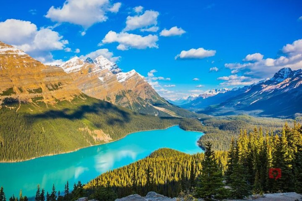 Self-Guided Audio Driving Tour in Icefields Parkway
