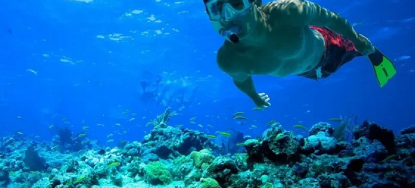 Snorkeling and Dolphin Watching Muscat