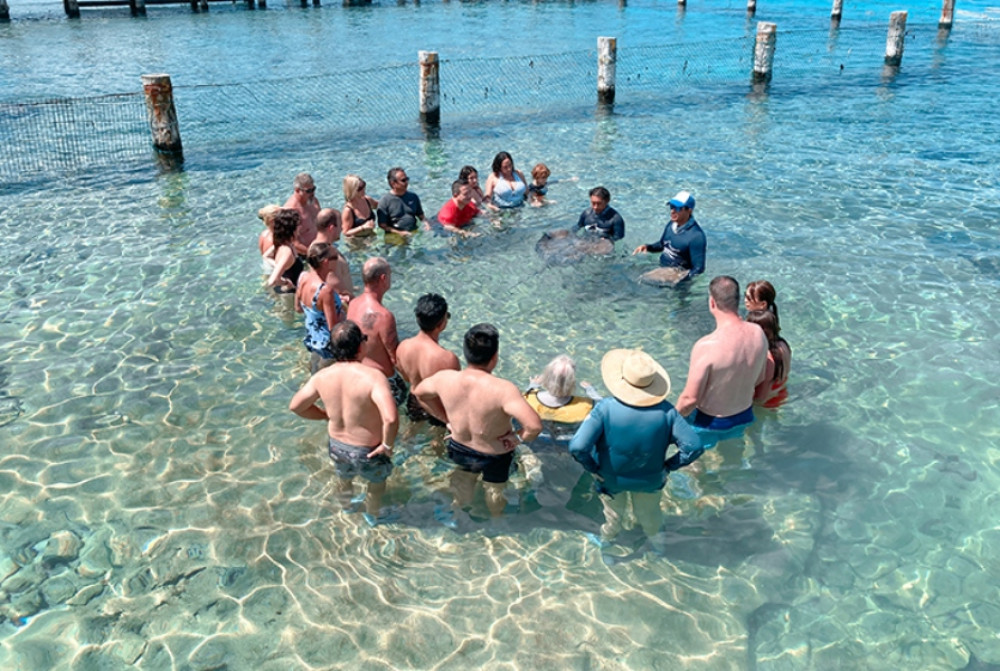 Cozumel Driving Tour Snorkel - Jade Cavern & Beach Break