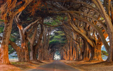 GuideAlong (GyPSy Guide)6