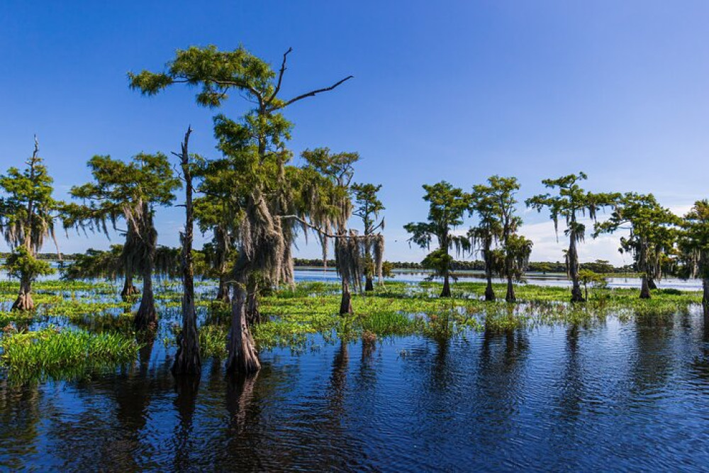 Self-Guided Driving Audio Tour of Everglades National Park