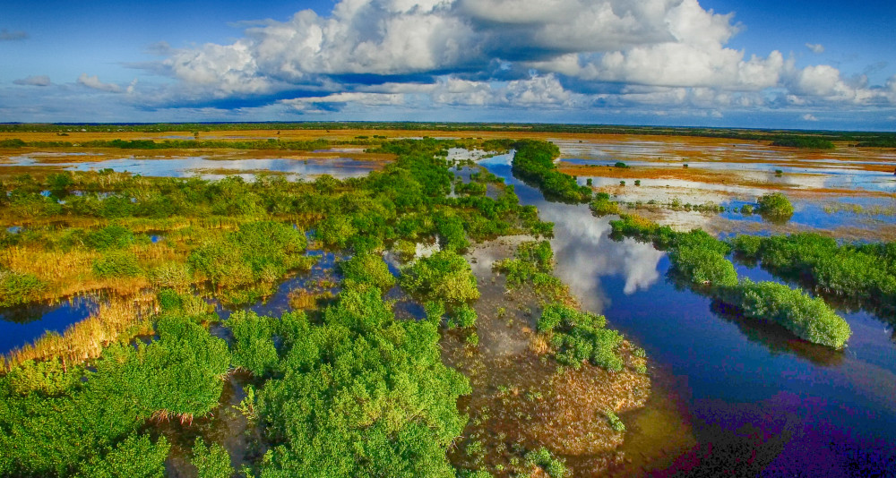 Audio-Guided Driving Tour of Everglades National Park