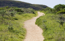 GuideAlong (GyPSy Guide)1