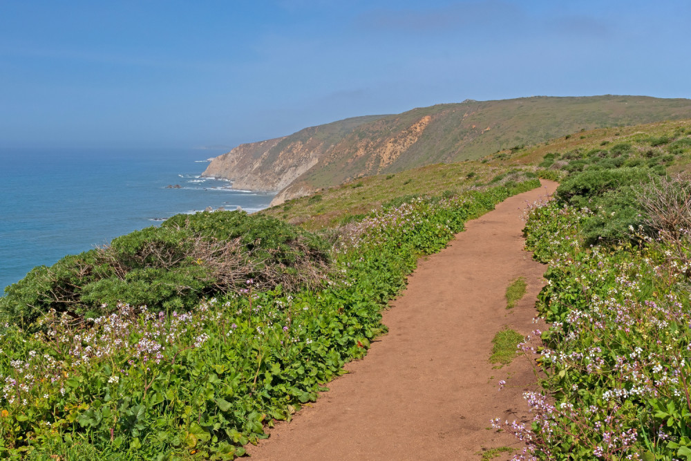 Self-Guided Driving Tour of Point Reyes National Seashore