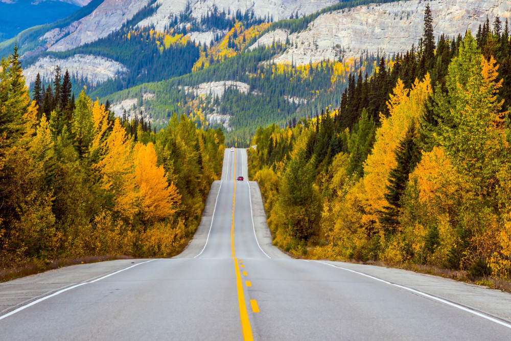Audio-Guided Driving Tour Along the Icefields Parkway
