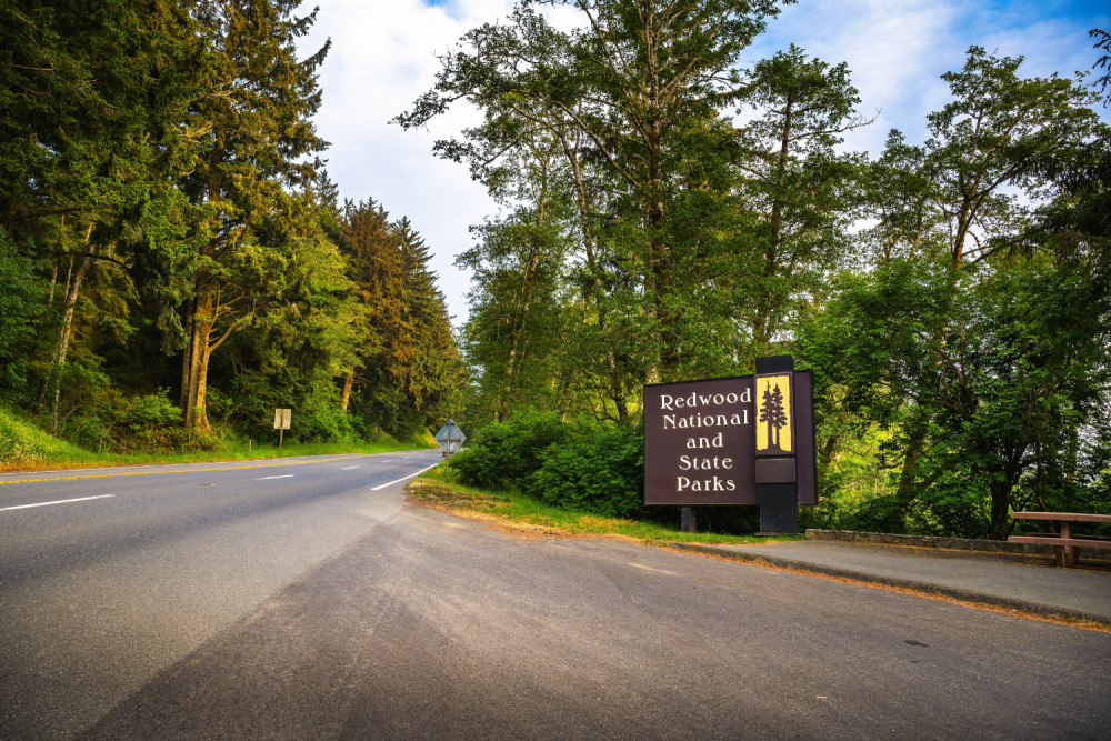 Audio-Guided Driving Tour of Redwood National and State Parks