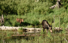 GuideAlong (GyPSy Guide)8
