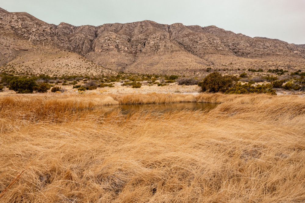 Self-Guided Driving Audio Tour of Guadalupe Mountains National Park
