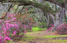GuideAlong (GyPSy Guide)13