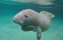 GuideAlong (GyPSy Guide)10