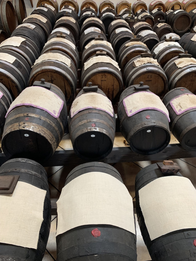Parmesan, Wine, Balsamic Full Day Tour With Lunch