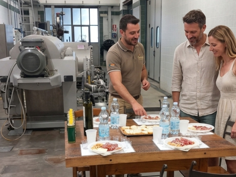 Siena Countryside Olive Mill Tour & Tasting