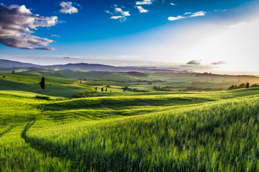 Private Val d’Orcia Day Tour