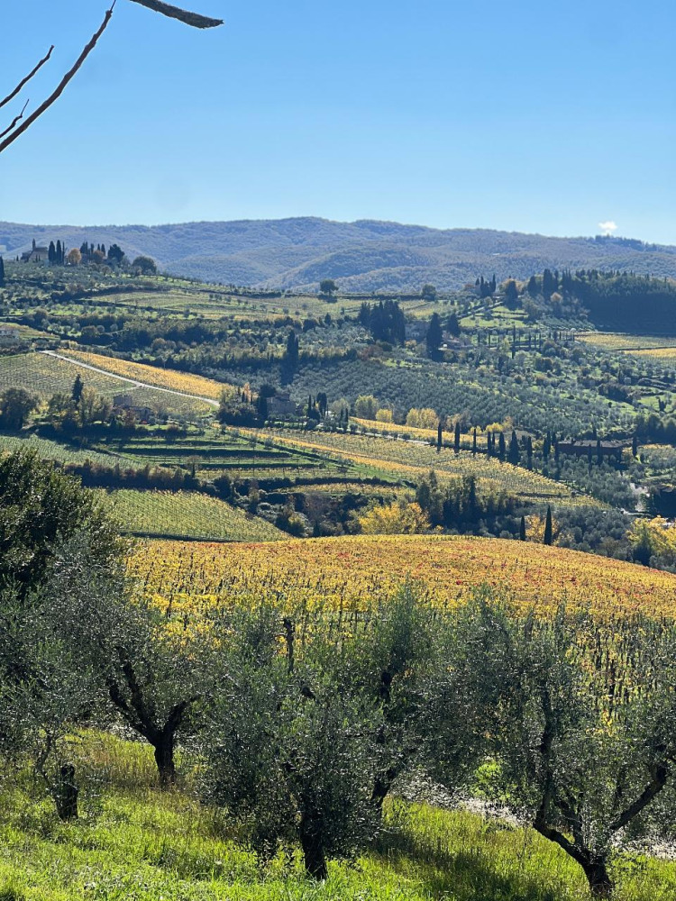 Your Organic Wine Tour
