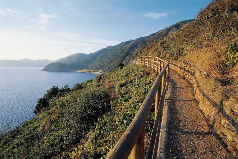 Cinque Terre Day Trip With A Hike