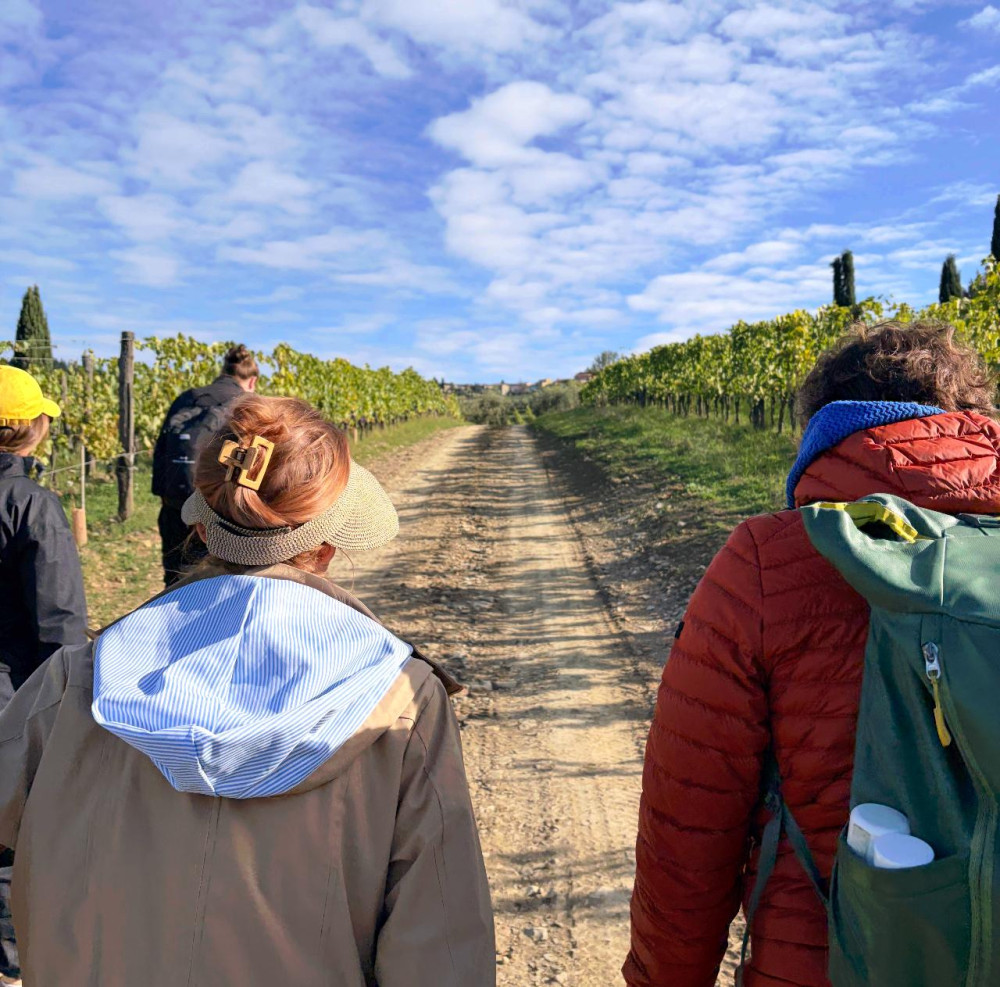 Private Wine Hiking Chianti Classico Tour