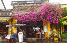 Threeland Travel Co., Ltd21