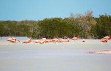 Ekinox Tours6