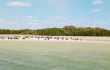 Ekinox Tours9