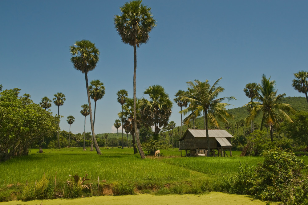 7-Day Mekong Delta, Cu Chi Tunnels & Angkor Temples from Saigon
