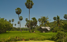 Threeland Travel Co., Ltd3