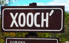 Ekinox Tours6