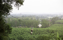 Threeland Travel Co., Ltd10