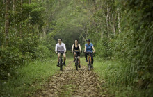 Threeland Travel Co., Ltd13