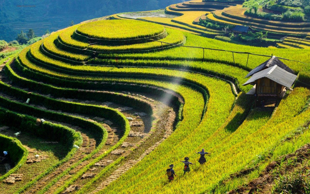 5-Day Highland Wellness Retreat With Hydrotherapy in Mu Cang Chai