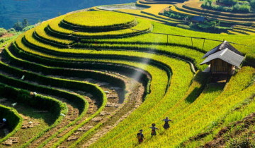 A picture of 5-Day Highland Wellness Retreat With Hydrotherapy in Mu Cang Chai