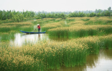 Threeland Travel Co., Ltd2