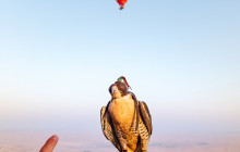 Hot air balloon UAE15