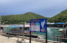 MagicalTrip12