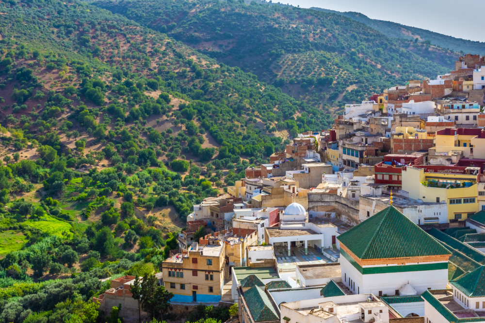 Historian-Led Day Trip to Volubilis & Moulay Idriss
